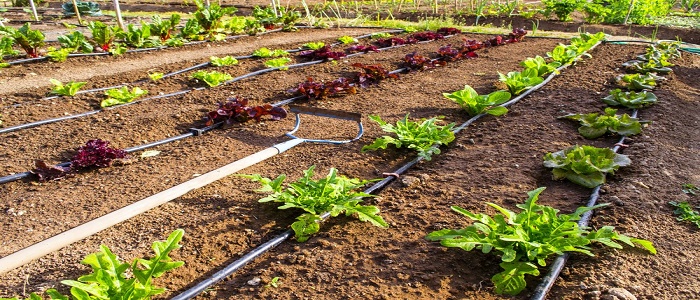 Drip Irrigation Market