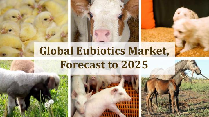 Eubiotics Market