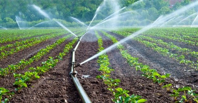 Europe Drip Irrigation Market