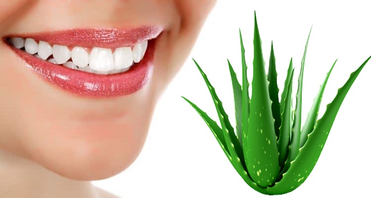 Herbal Toothcare Market