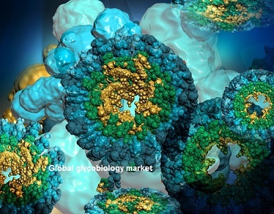 Global glycobiology market