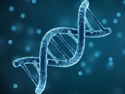 Global Bioinformatics Market - TechSci Research