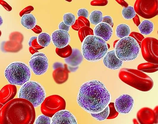 Leukemia Therapeutics Market