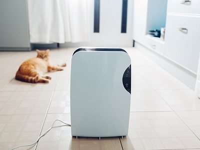 Malaysia Air Purifiers Market