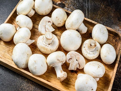 Mushroom Cultivation Market