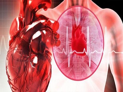 United States Cardiac Monitoring & Cardiac Rhythm Management Devices Market - TechSci Research