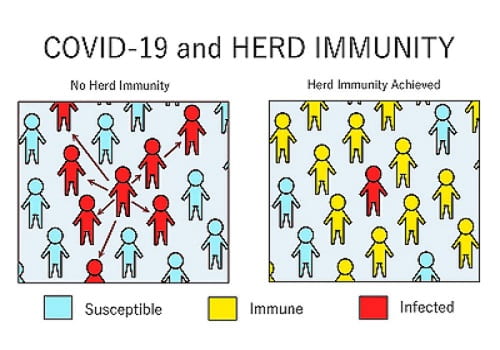 COVID-19 and Herd Immunity - TechSci Research