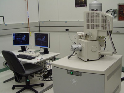 Global Electron Microscopy Market