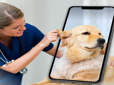 Veterinary Telehealth Market - TechSci Research