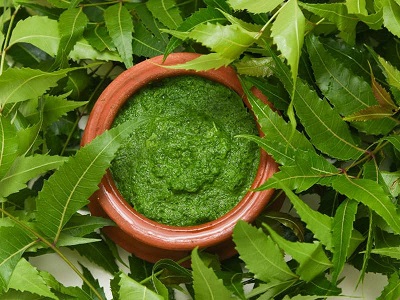 India Neem Extracts Market