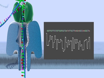 Nanopore Sequencing Market - TechSci Research