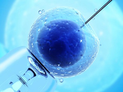 Saudi Arabia In-Vitro Fertilization Market - TechSci Research