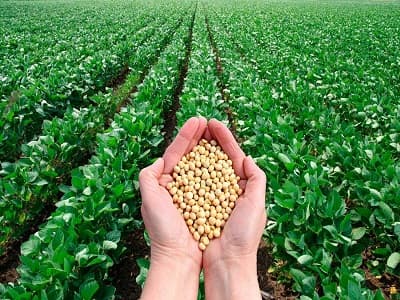 India Agricultural Micronutrients Market - TechSci Research