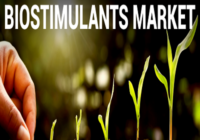 India Bio Stimulants Market