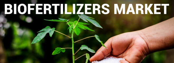 India Biofertilizers Market