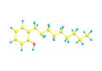 N-Nonylphenol Market Size, Share, Industry Growth, and Forecast 2030 | ChemAnalyst