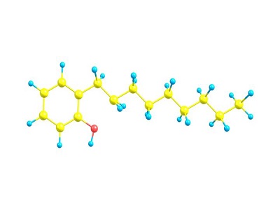 N-Nonylphenol Market Size, Share, Industry Growth, and Forecast 2030 | ChemAnalyst