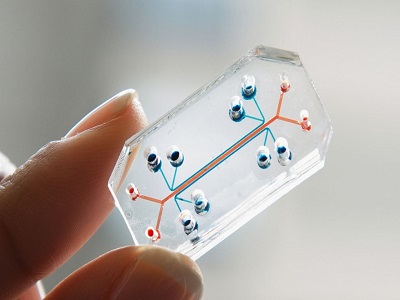 Organ-on-Chip Market - TechSci Research