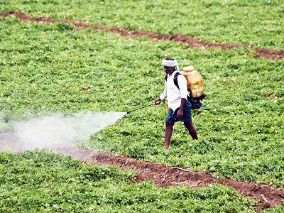 Saudi Arabia Pesticides Market