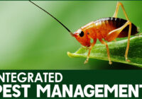 Integrated Pest Management Market