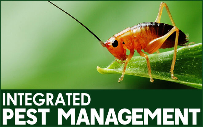 Integrated Pest Management Market