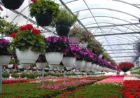 Floriculture Market