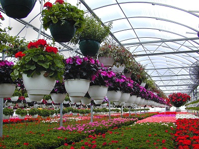 Floriculture Market