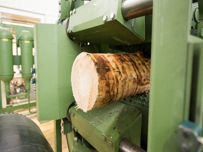 India Wood Processing Equipment Market