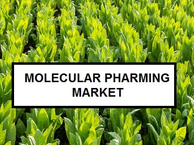 Molecular Pharming Market - TechSci Research