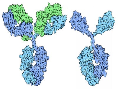 Nanobodies Market - TechSci Research