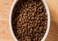 Saudi Arabia Pet Food Market - TechSci Research