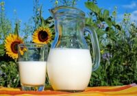 Germany Dairy Products Market - TechSci Research
