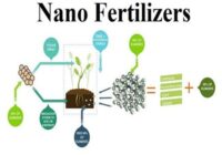 Nano Fertilizers Market