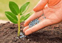 Specialty Fertilizers Market - TechSci Research