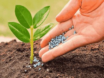Specialty Fertilizers Market - TechSci Research