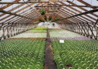 Commercial Greenhouse Market - TechSci Research