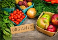 UAE Organic Farming Market