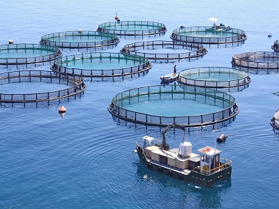 Vietnam Aquaculture