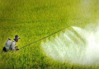 Vietnam Pesticides