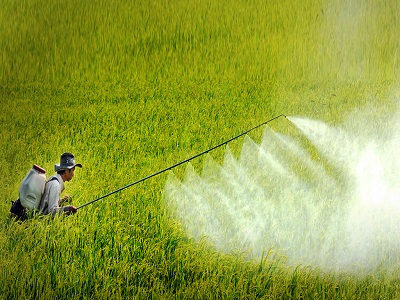 Vietnam Pesticides