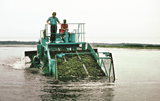 Aquatic Herbicides