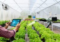 Smart Greenhouse Market