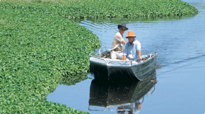 Aquatic Herbicides