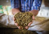 Europe Animal Feed Additive Market Share, Size, Growth, Trends, Analysis, and Forecast