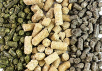 Global Animal Feed Additive Market Share, Size, Growth, Trends, Analysis, and Forecast