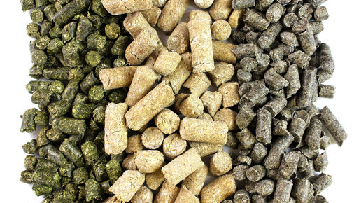 Global Animal Feed Additive Market Share, Size, Growth, Trends, Analysis, and Forecast