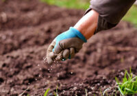 Global Complex Fertilizers Market Share, Size, Trends, Growth, Analysis and Forecast
