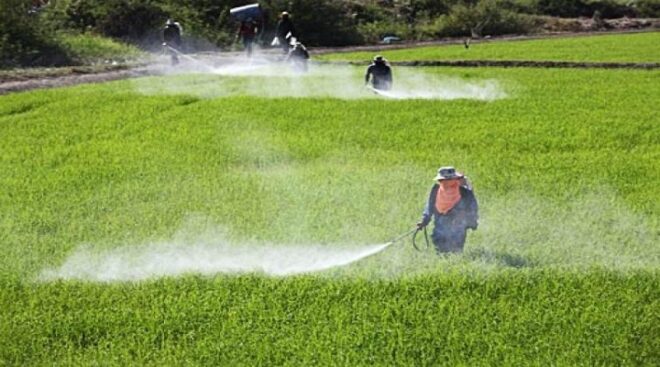Global Crop Protection Chemicals Market Share, Size , Trends, Analysis, Growth and Forecast