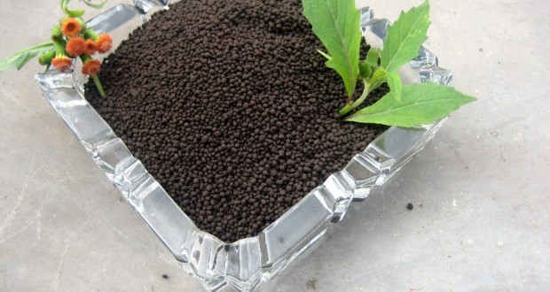 Global Humic Acid Market Share, Size, Trends, Growth, Analysis and Forecast