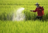 Global Pesticides Market Share, Size, Growth, Trends, Analysis, and Forecast